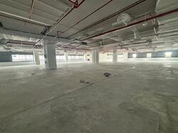 Techpoint (D20), Factory #520949131